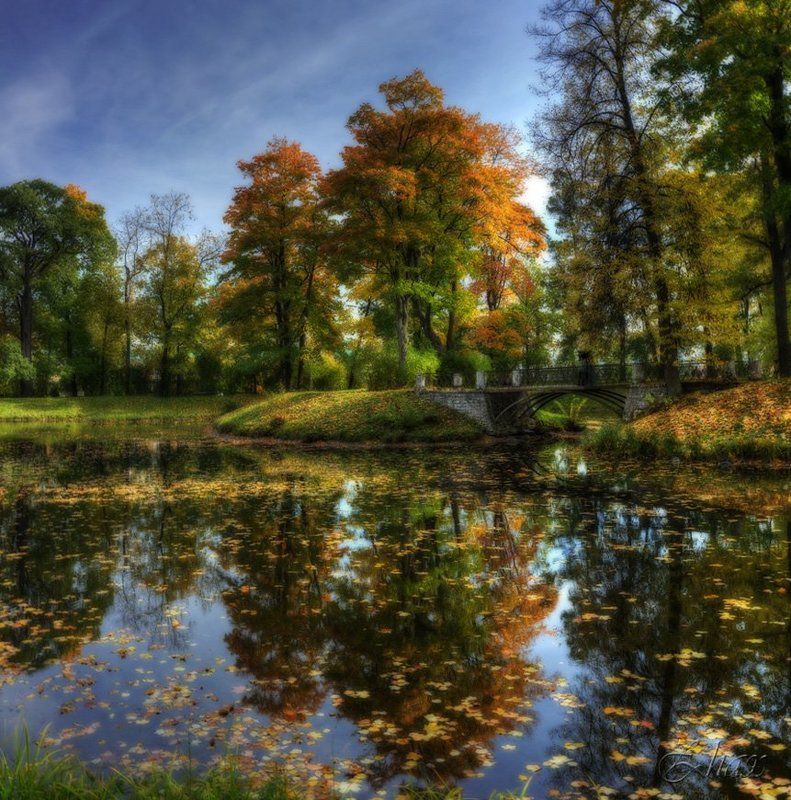 осень, парк, пейзаж, природа Осений сон ...photo preview