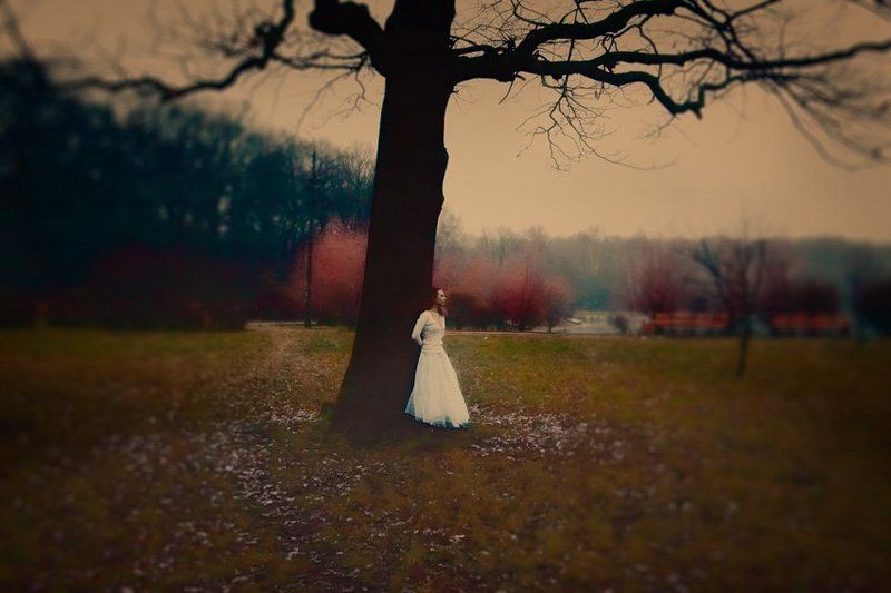 forest, mist, lady, fog, ghost, cold Stealing beautyphoto preview