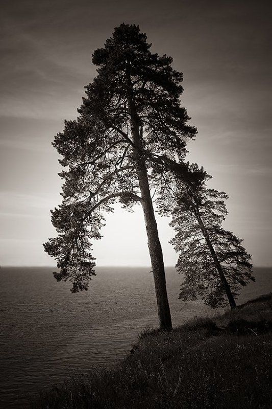 Батька...photo preview