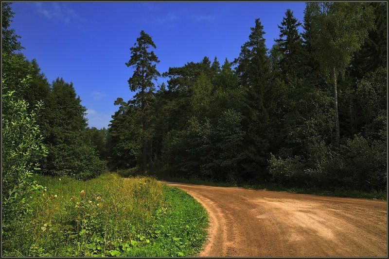 остров, валаам, дорога, лес, небо Дороги Валаамаphoto preview