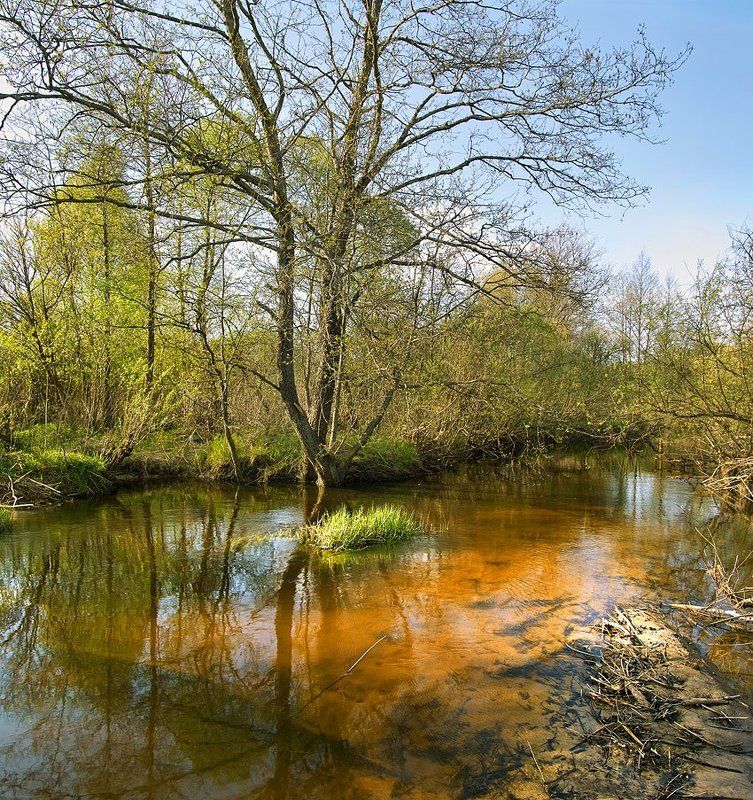 обмелело... фото превью