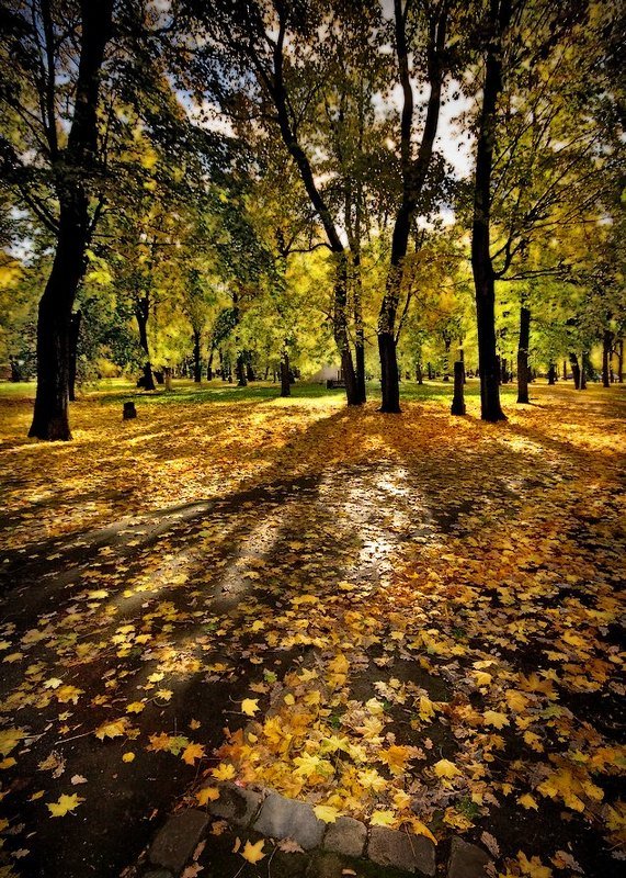 zibkiji teniphoto preview