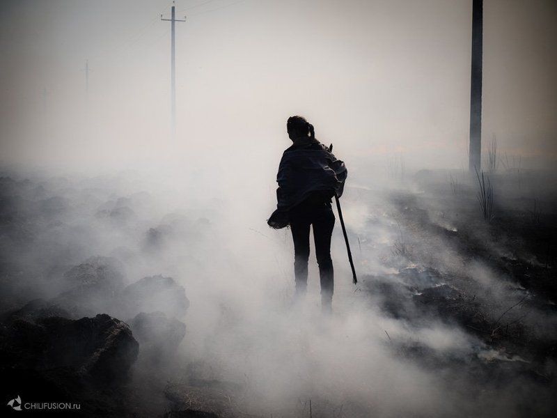 дым, пожары Пожарыphoto preview