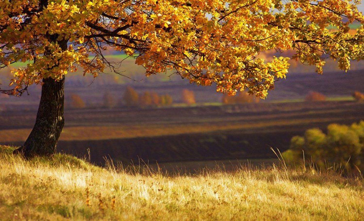 татария, canon 40d, sigma af 70-300 mm f/4-5.6 apo dg macro, Дмитрий Шмелёв