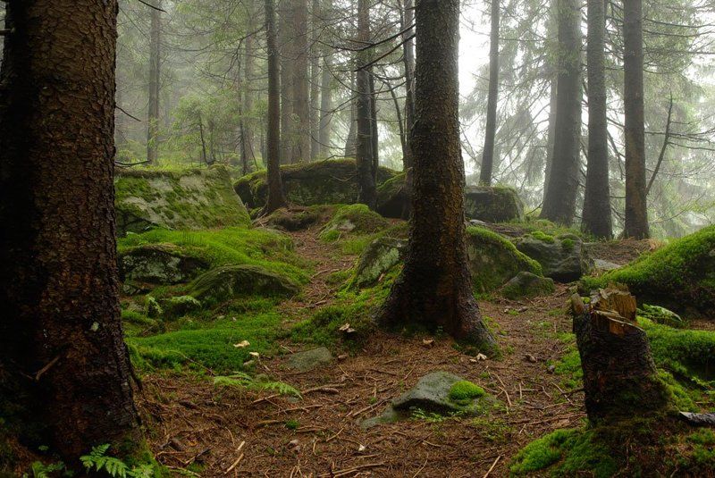 неудачникphoto preview