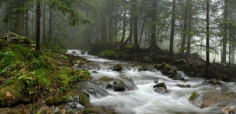 потокphoto preview