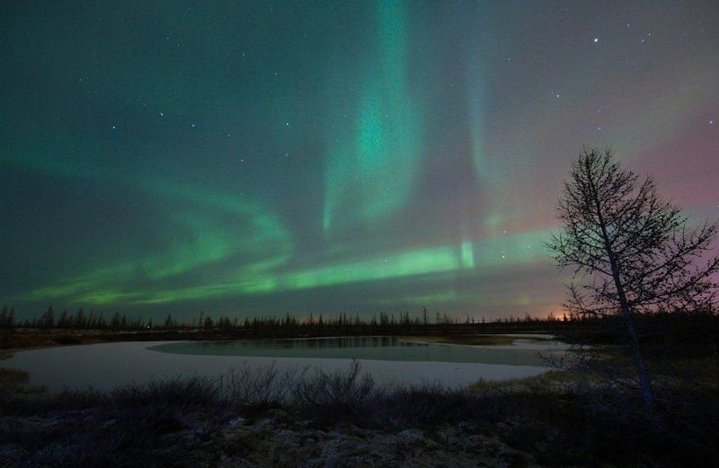 aurora borealis, северное сияние, природа, ночной пезаж, север Aurora Borealis#8photo preview