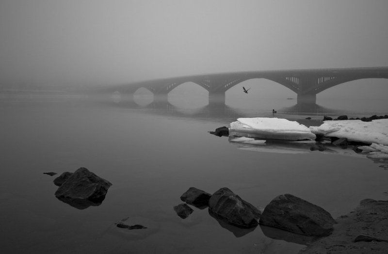 zen at the bridgephoto preview