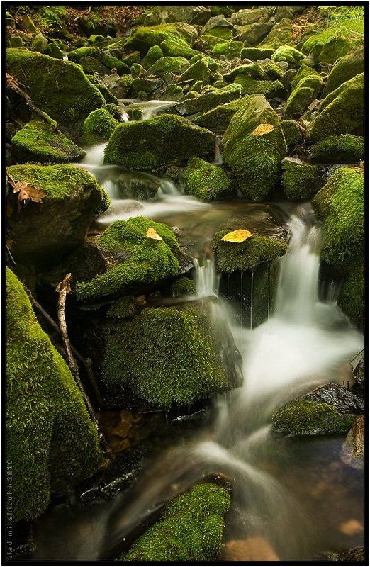 ручей,ручьи,природа,пейзаж,владимир,шипулин * * *photo preview