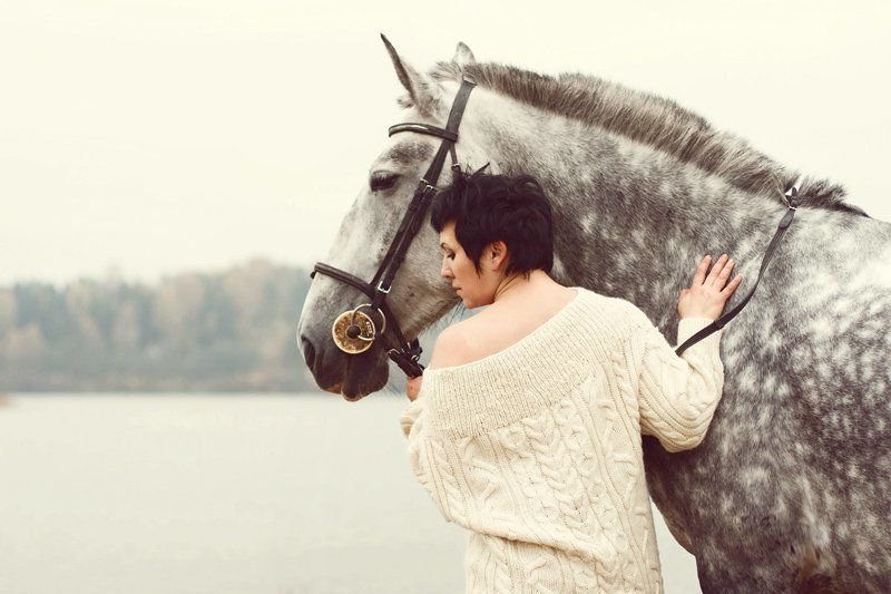 сливочный рассветphoto preview