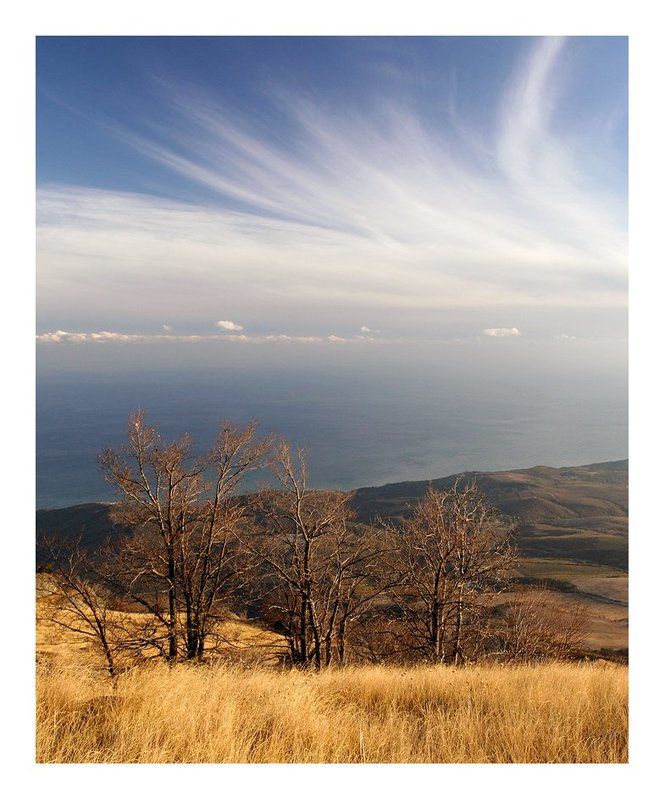 «Улетает осень лист последний сбросив...»photo preview