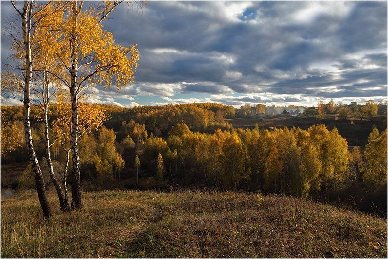 осень, березы ***photo preview