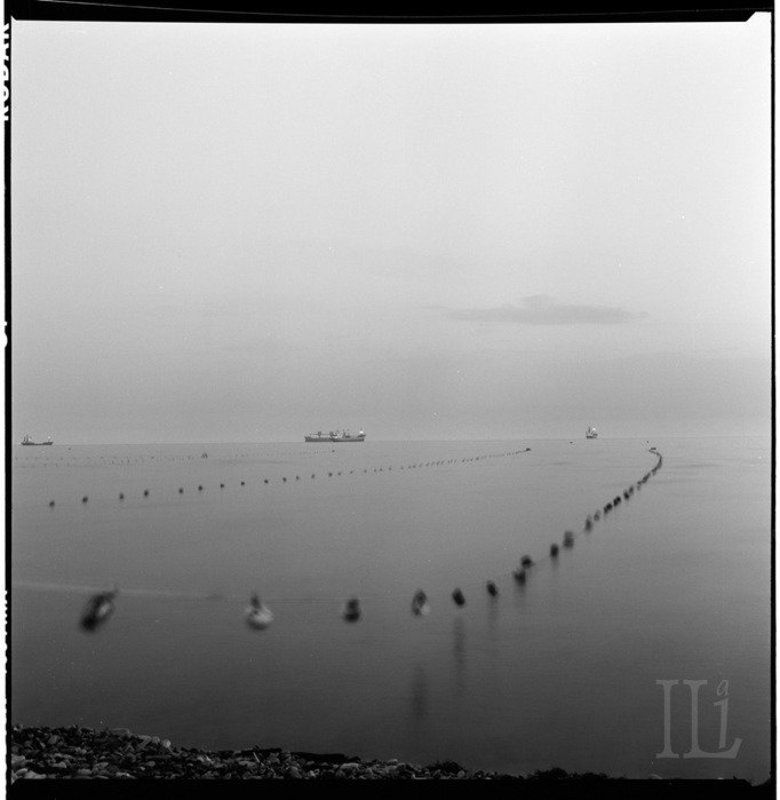 геленджик Лягушатникphoto preview