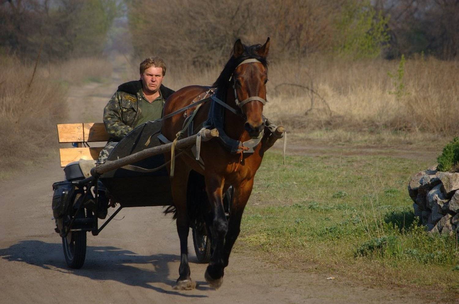 лошадь, повозка, Евгений Смердов