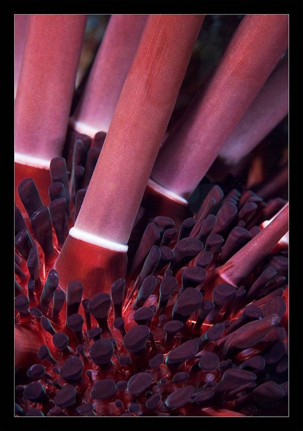 Другая планета. Автор: Нарчук Андрей , Нарчук Андрей