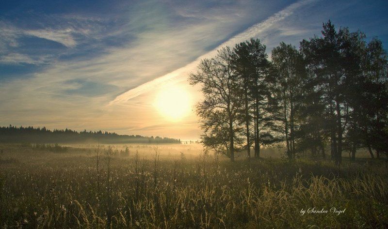 утро, туман Morningphoto preview