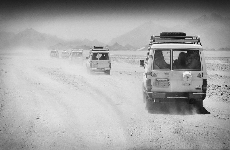 Аравийскаяphoto preview