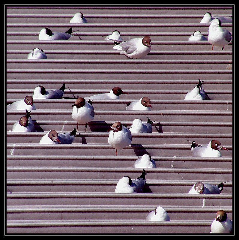 london,england трибуны постепенно заполнялись....photo preview