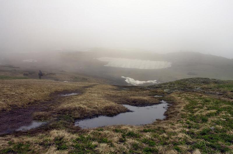 туман, вода, цветы, горы, утро, снег ТУМАН...ВОДА...ЦВЕТОВ НЕМНОЖКОphoto preview