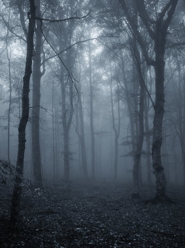 Заблудившись в облакахphoto preview