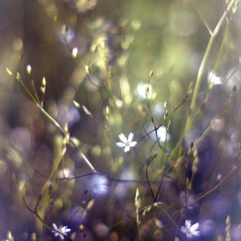 Танецphoto preview