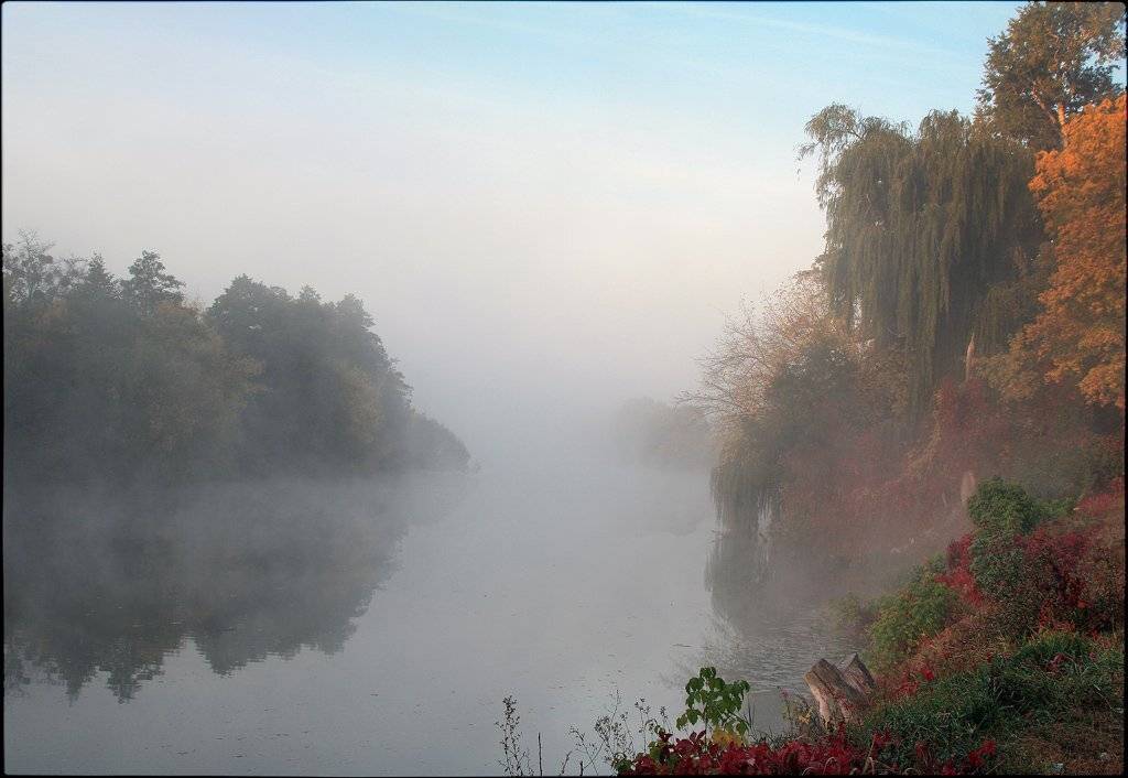 белая церковь, александрия, Лариса Гурьева