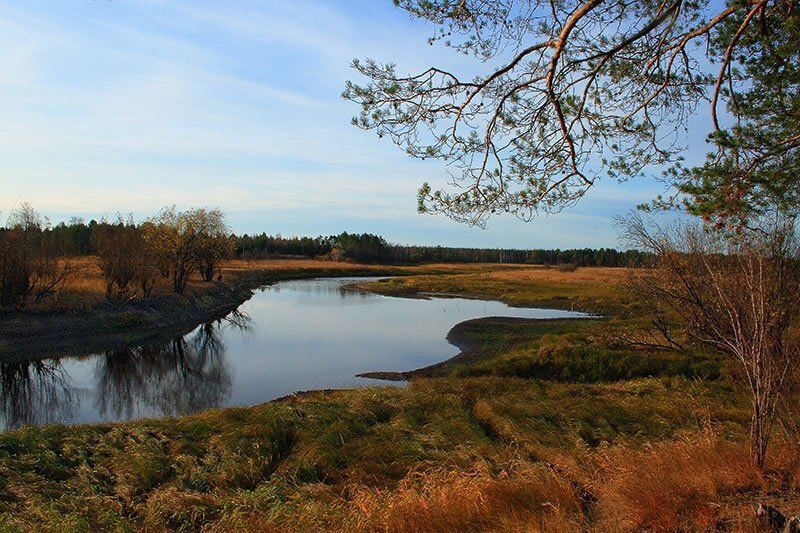 Золотая осеньphoto preview