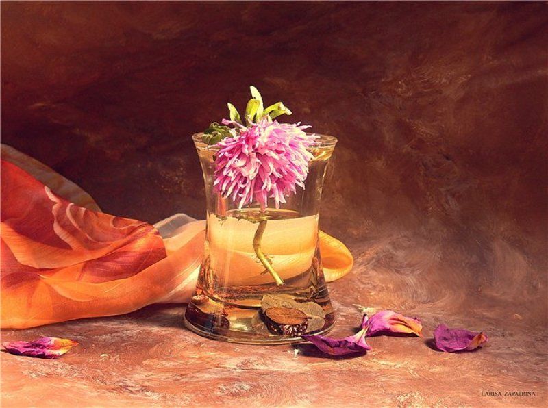 осенний photo preview