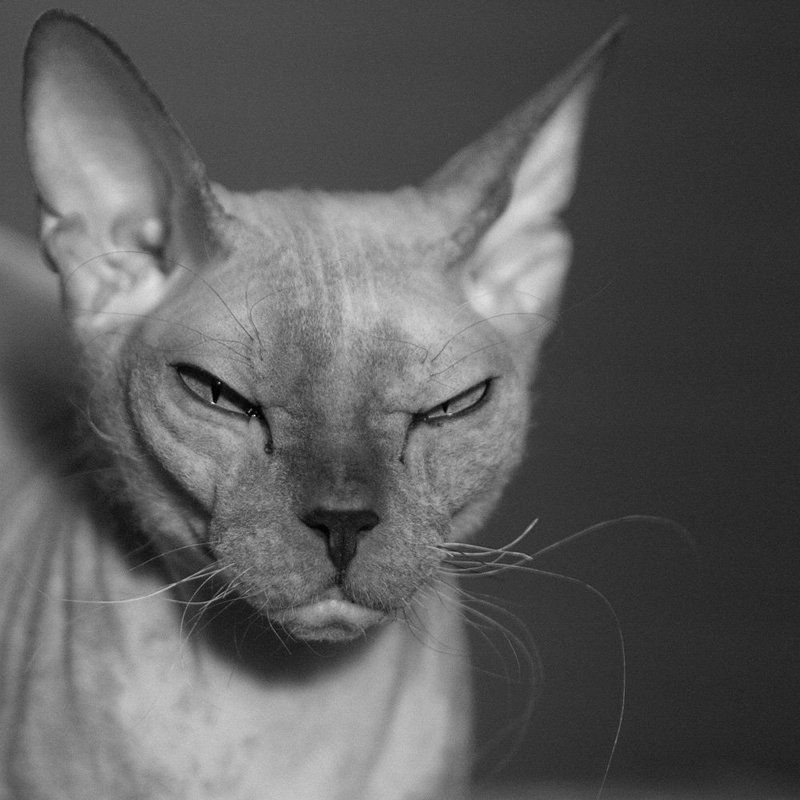 Девушка с претензиямиphoto preview