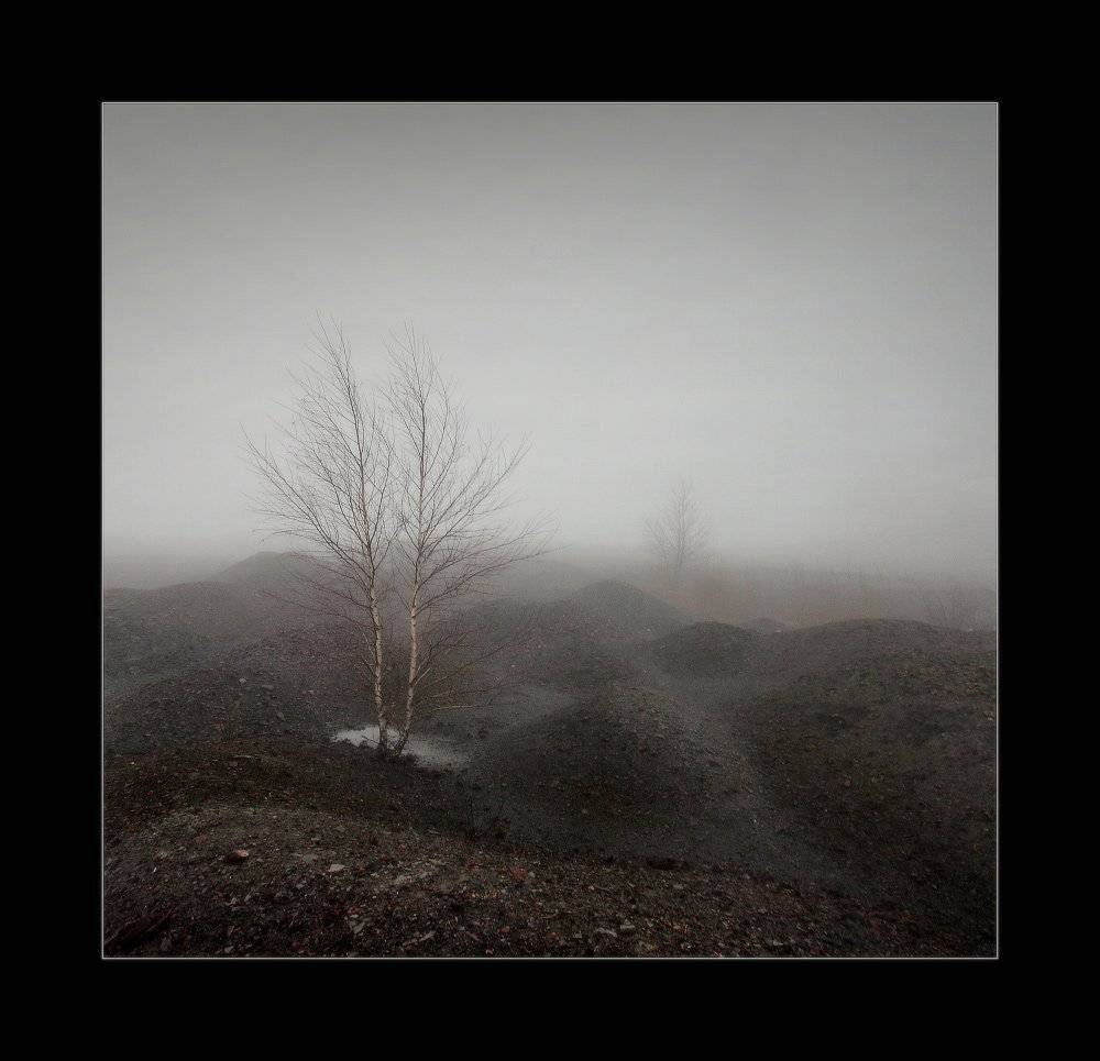 Спят курганы тёмные. Автор: Петриченко Валерий осень,террикон, шахта, туман, берёзка, Петриченко Валерий