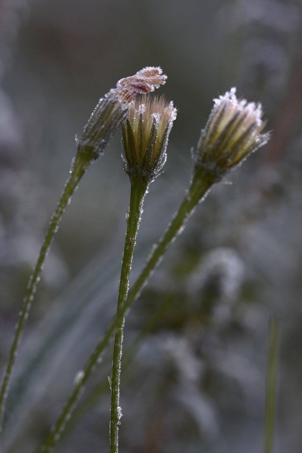 , Юлия Новохатько