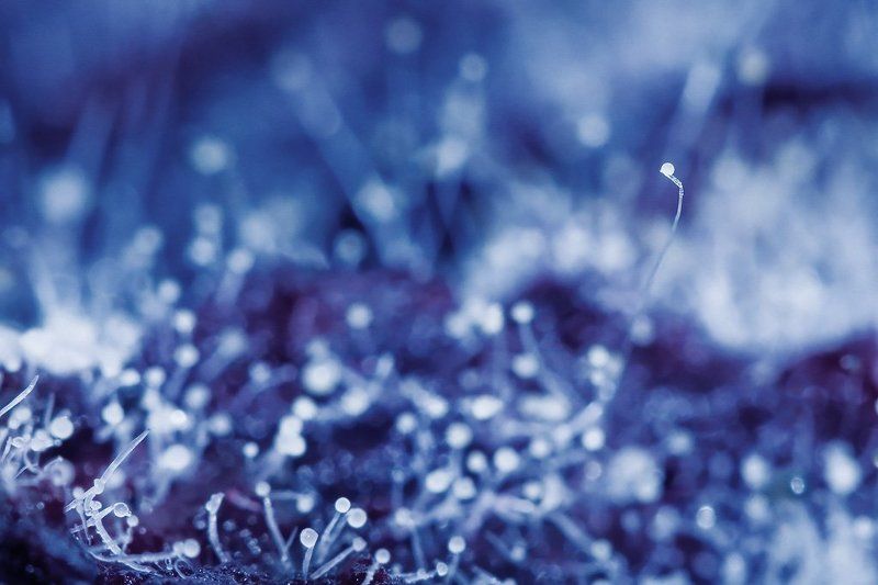 Интересная и загадочнаяphoto preview