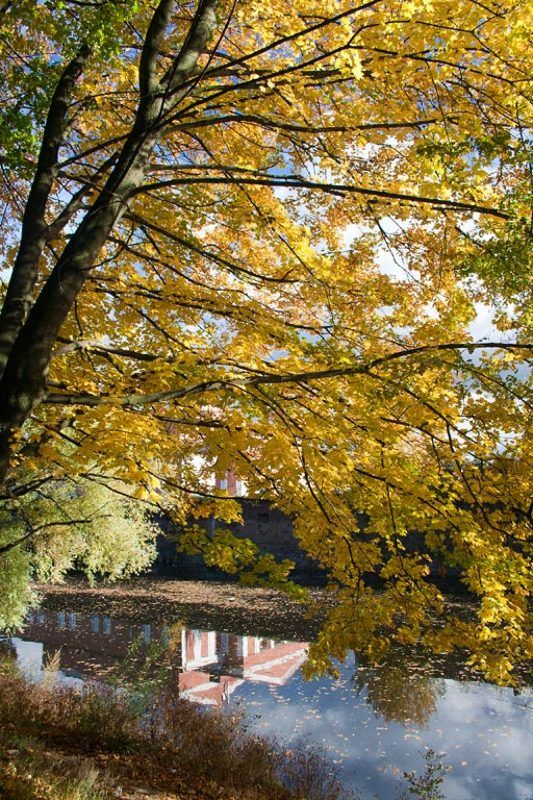 Уж небо осенью дышалоphoto preview