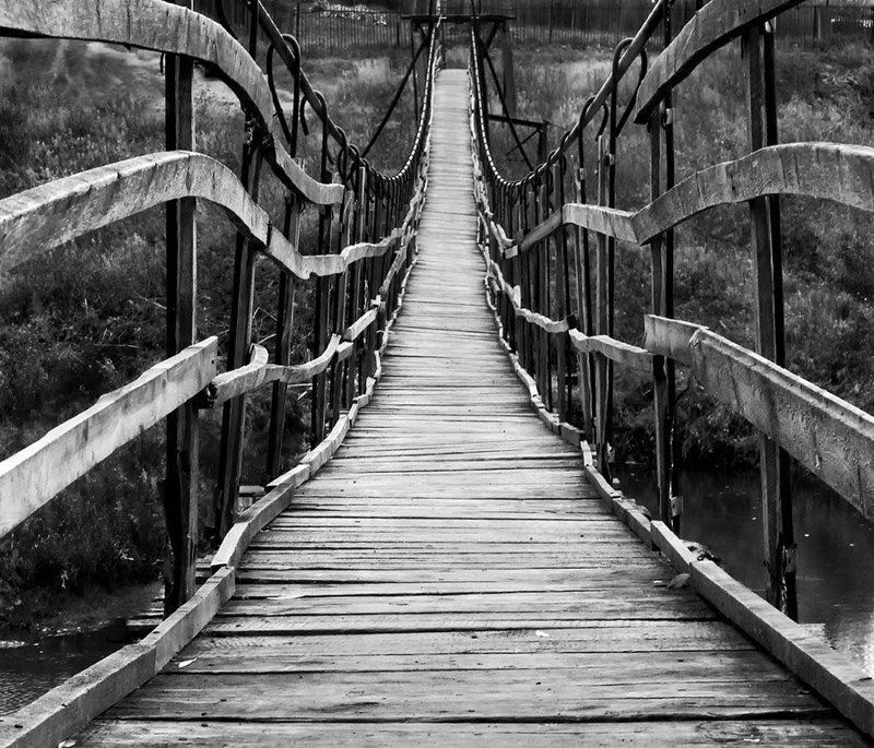 мост мост-паукphoto preview