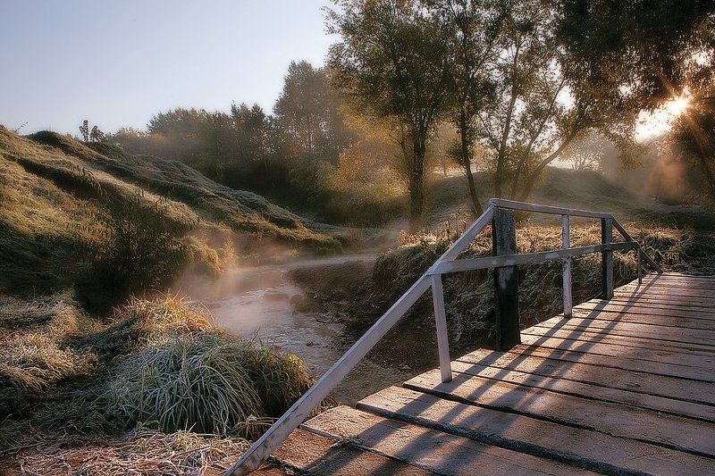 Октябрь уж наступил - уж роща отряхает (ч.2)photo preview