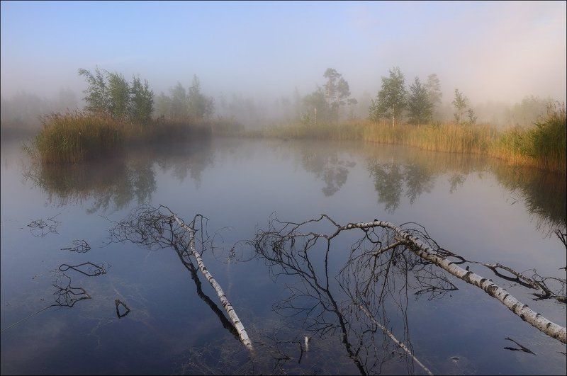Болотные рефлексииphoto preview