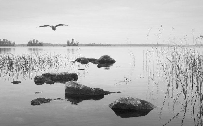 На крыльях осениphoto preview