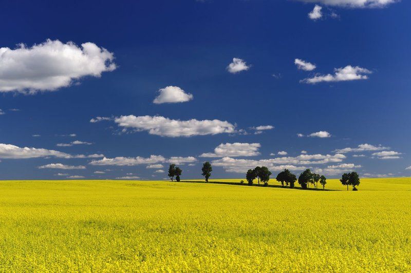 Intrudersphoto preview