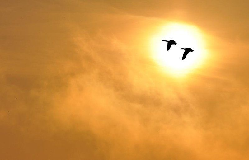 утро ***photo preview