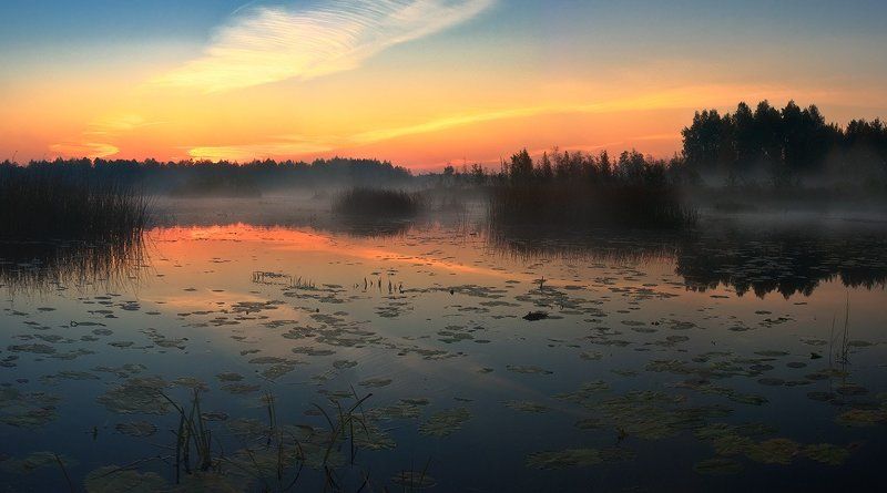 заряphoto preview