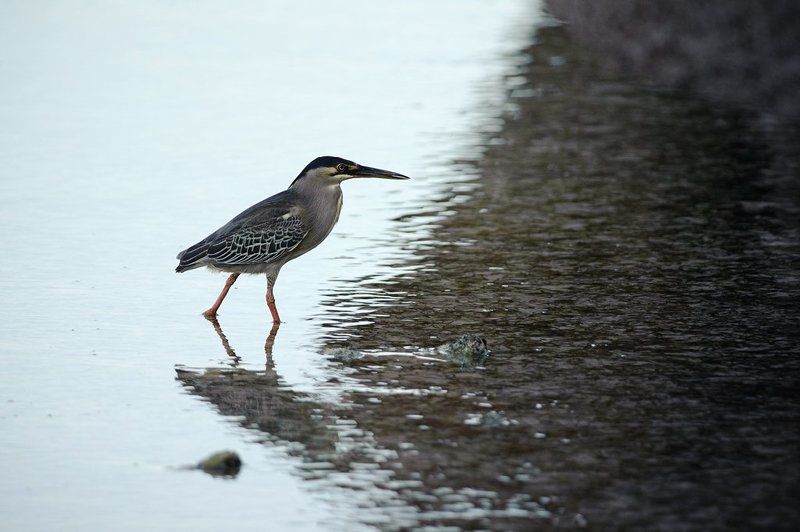 рыбачка, соня Рыбачка соняphoto preview
