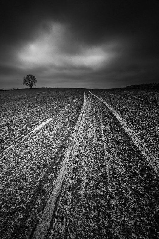 The day that never comes...photo preview