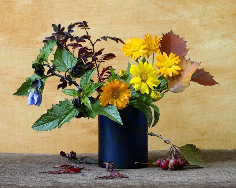 цветы, цвет photo preview