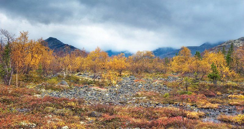 кольский п-ов, хибины Кольская осеньphoto preview