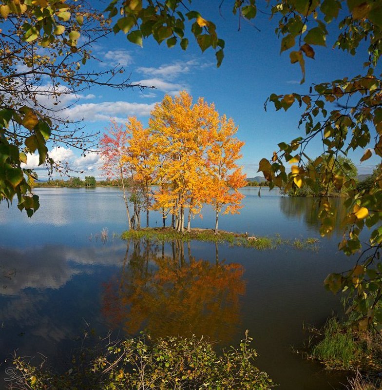 осень Окно в осеньphoto preview