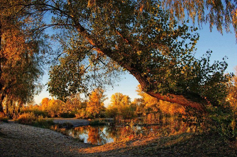 Маленькое озеро фото превью