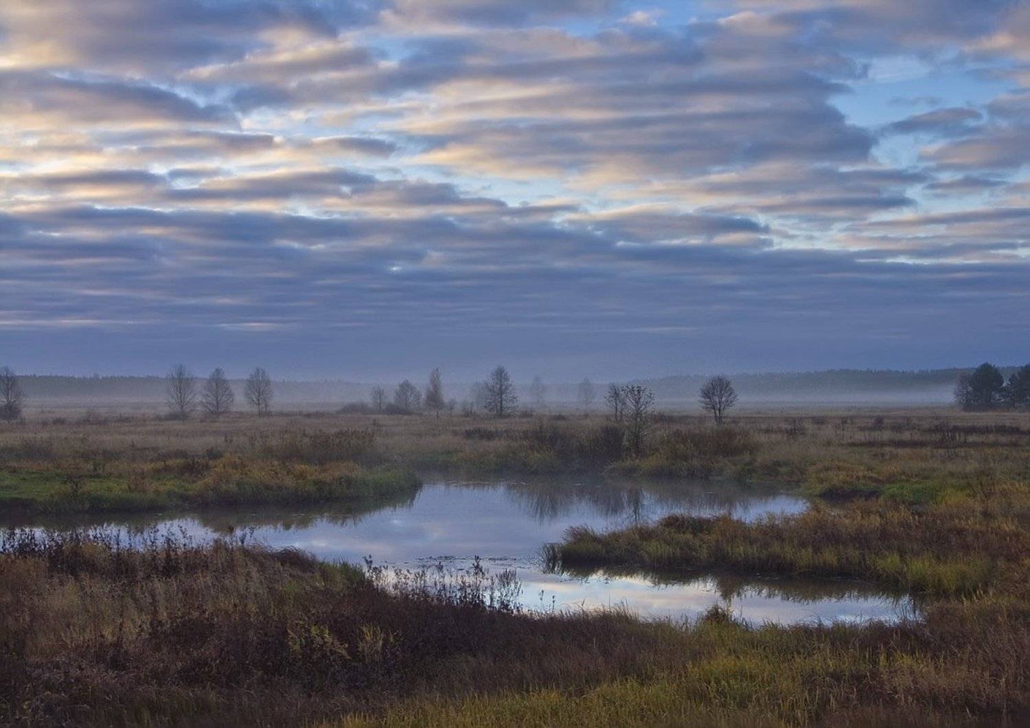 , Клюшкин Юрий