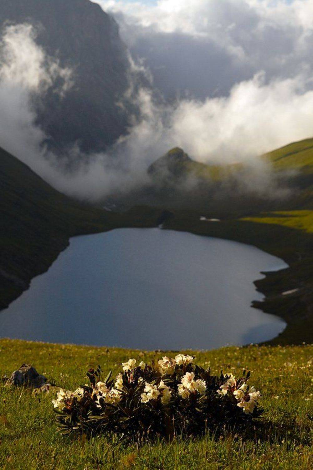 , Синицкий Виталий