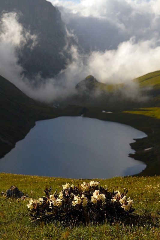 Кяфарphoto preview