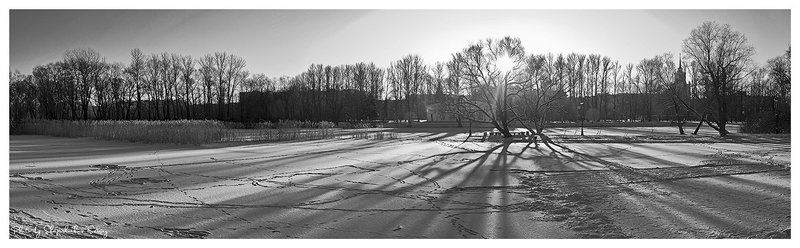 зимние тениphoto preview